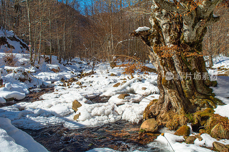 在冬天，在老山上(Stara Planina)冰冻的自然形成的冰